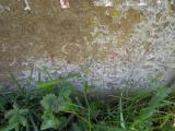 image of grave number 57229